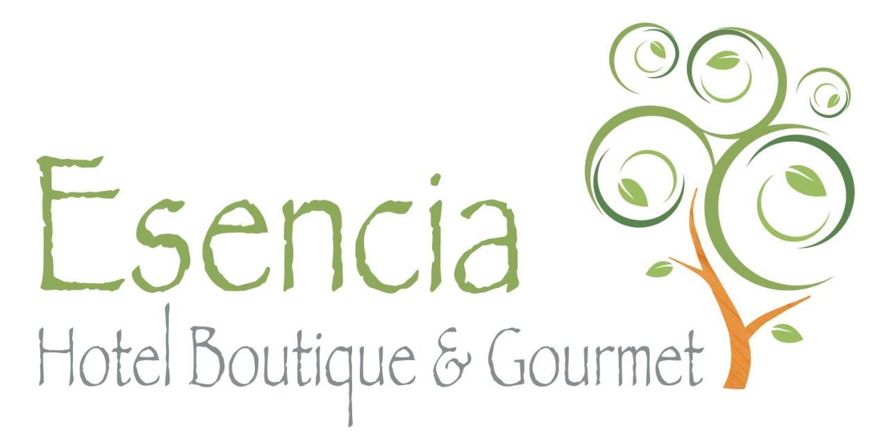 Esencia Hotel Boutique 비냐델마르 외부 사진